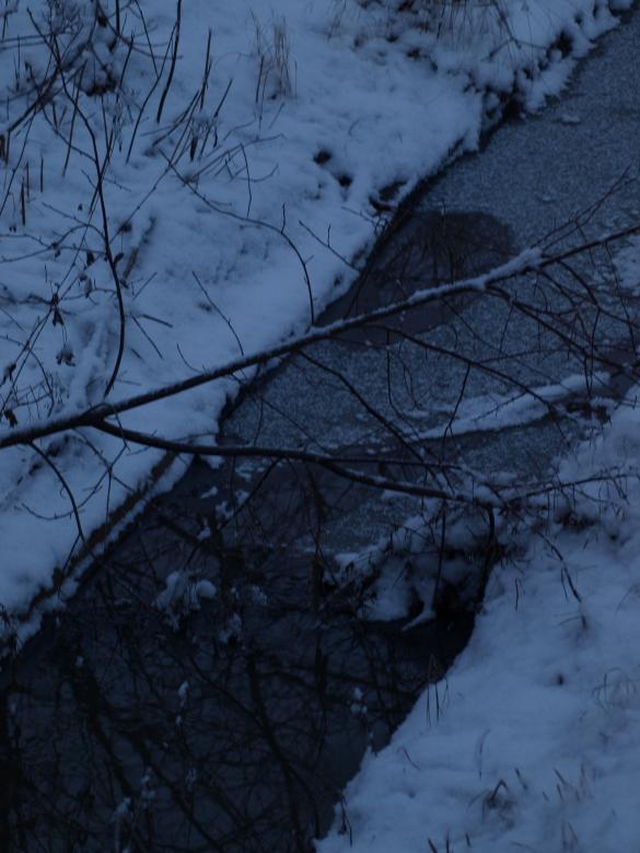 Free stock image of First snow created by Marko Mäkinen