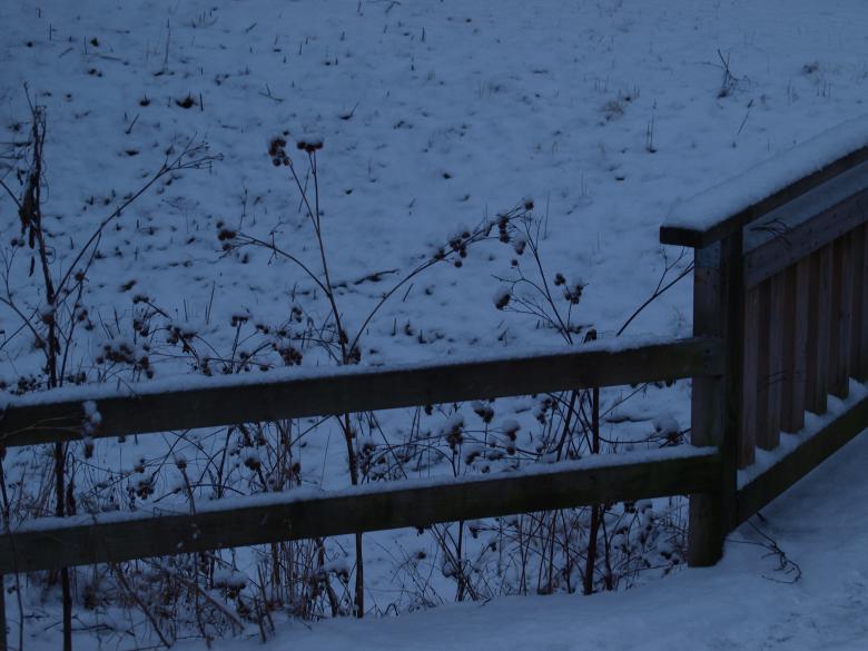 Free stock image of First snow created by Marko Mäkinen