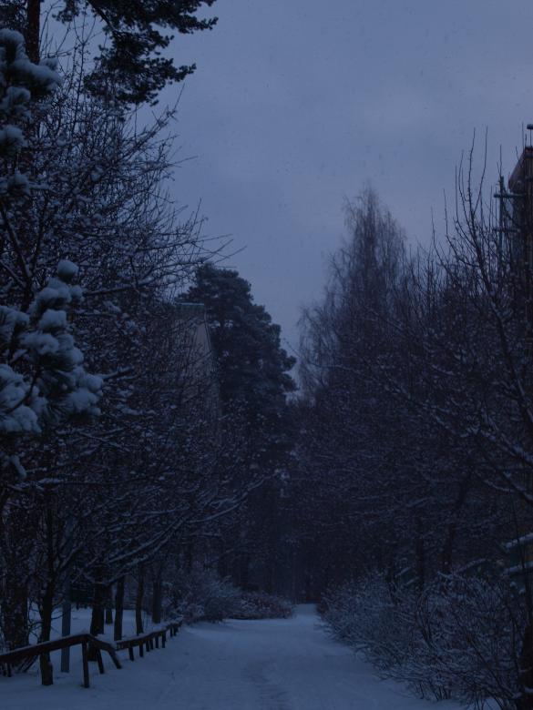 Free stock image of First snow created by Marko Mäkinen