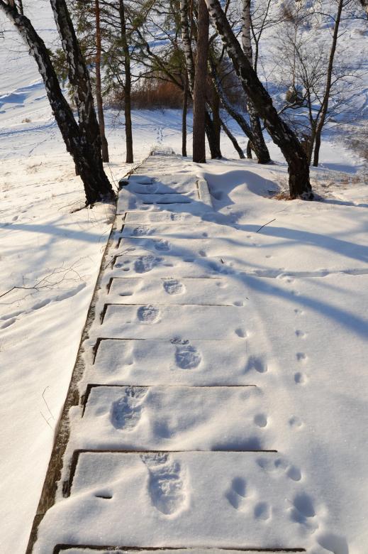 Free stock image of Steps down created by Tomas Adomaitis
