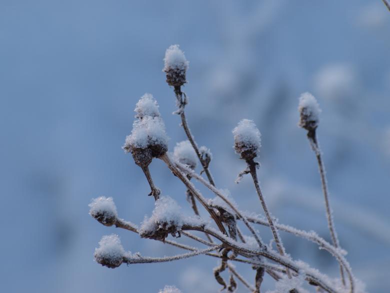 Free stock image of cold winter created by Marko Mäkinen