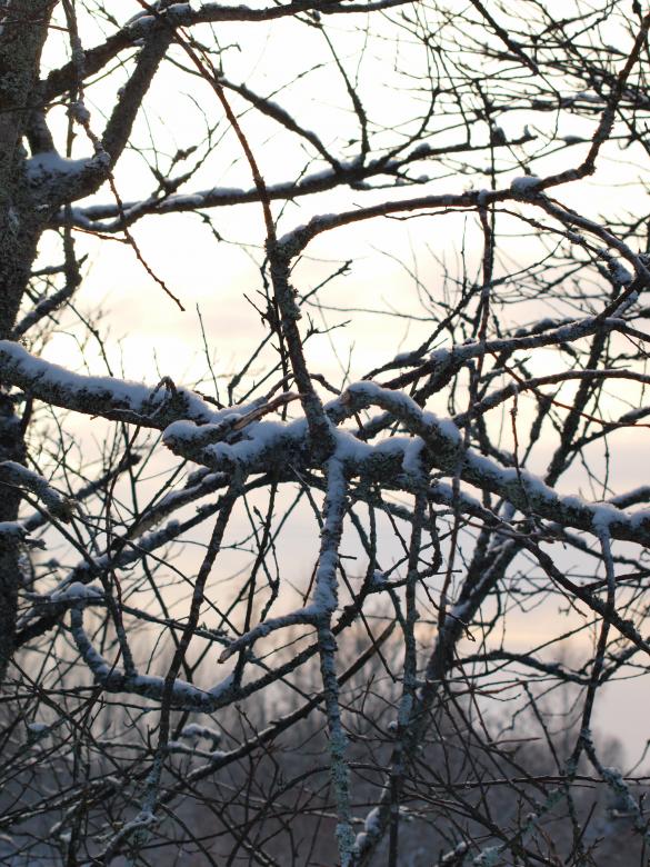 Free stock image of cold winter created by Marko Mäkinen