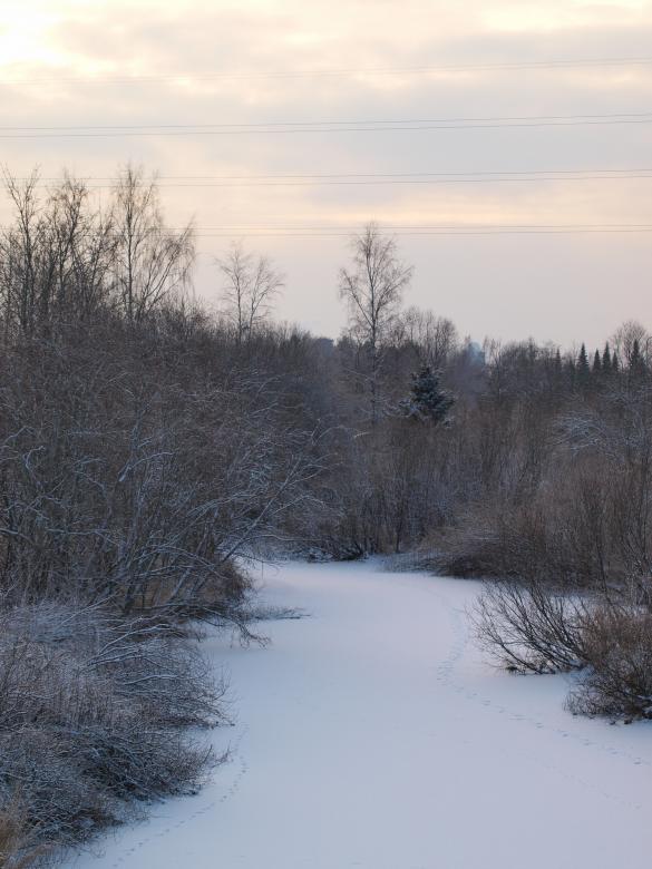 Free stock image of cold winter created by Marko Mäkinen