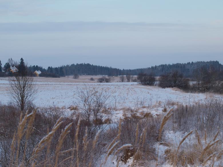 Free stock image of cold winter created by Marko Mäkinen