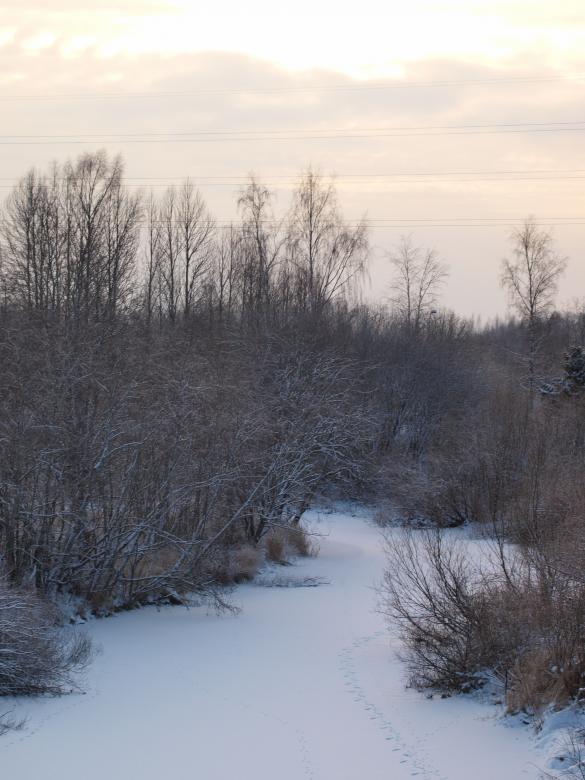 Free stock image of cold winter created by Marko Mäkinen