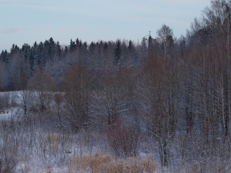 Free stock image of cold winter created by Marko Mäkinen