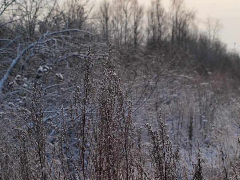 Free stock image of cold winter created by Marko Mäkinen