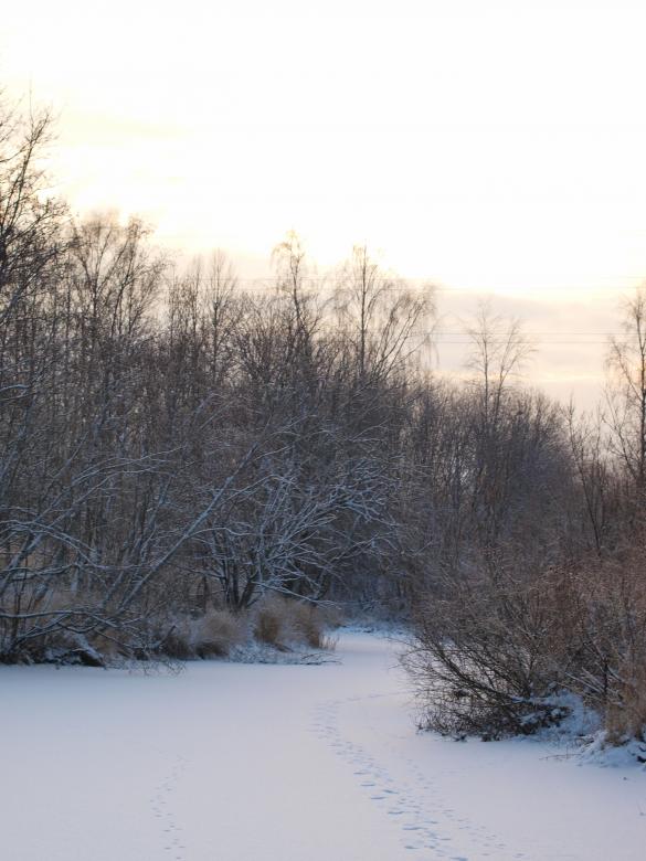Free stock image of Cold winter created by Marko Mäkinen