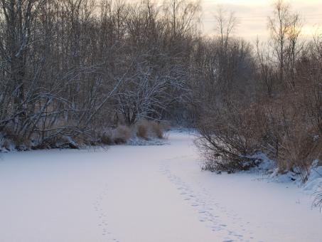 Free Stock Photo of Cold winter