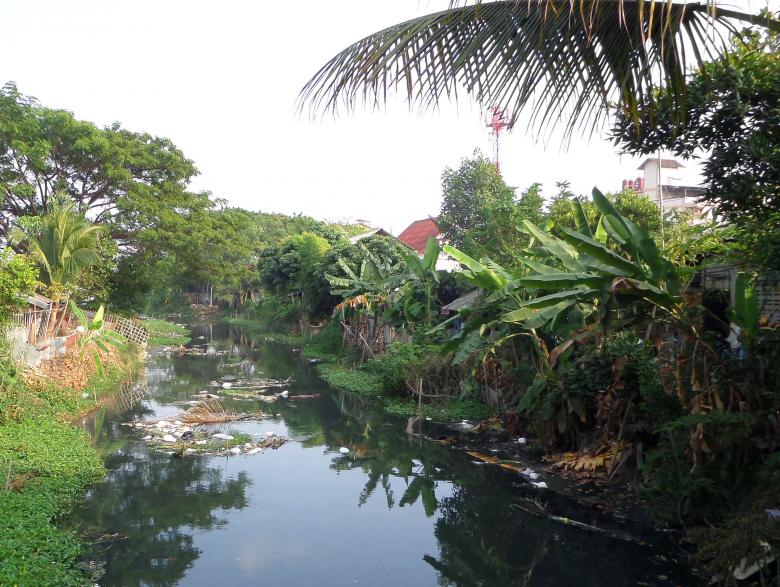 Free stock image of Polluted Thai canal created by Chas Mac