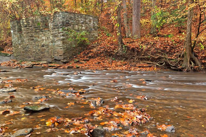 Free stock image of Rustic Fall Creek - HDR created by Nicolas Raymond