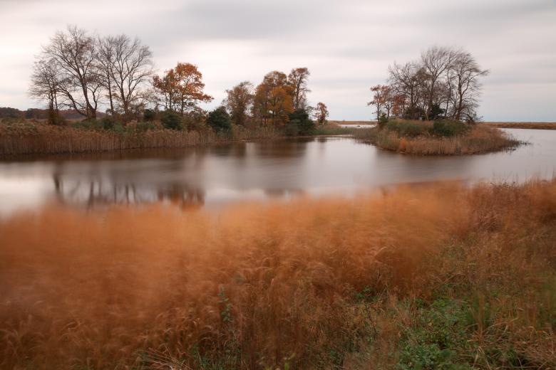 Free stock image of Bear Swamp Pool created by Nicolas Raymond