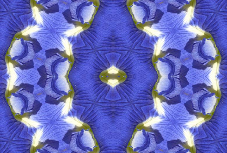 Free stock image of Foscrop created by Chas Mac