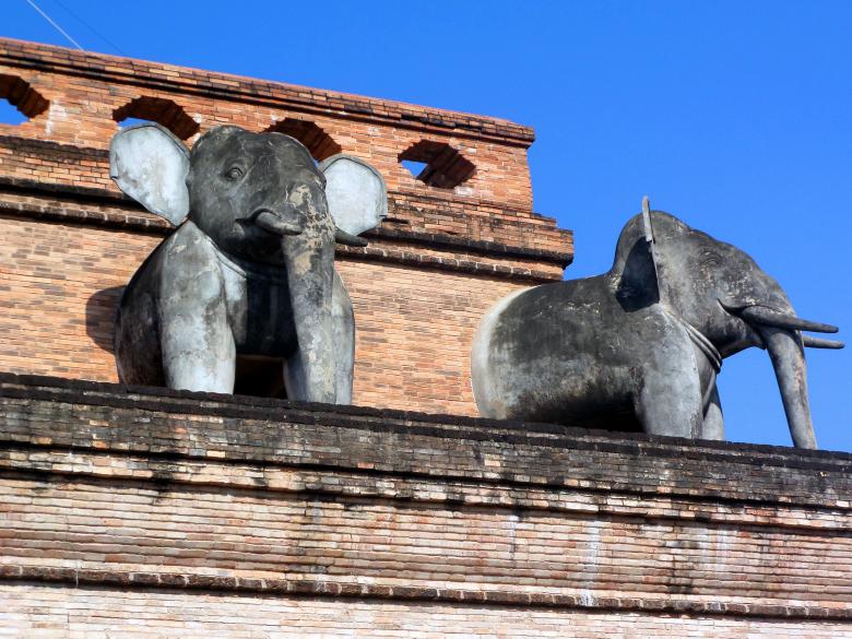Free stock image of Sacred Elephant Sculptures created by Chas Mac