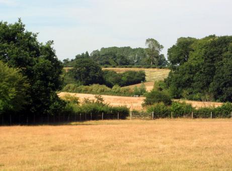 English fields and trees - Suffolk - Free Stock Photo