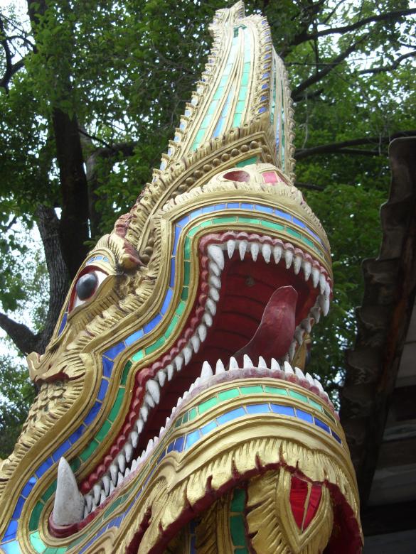 Free stock image of Naga Face and Teeth created by Chas Mac
