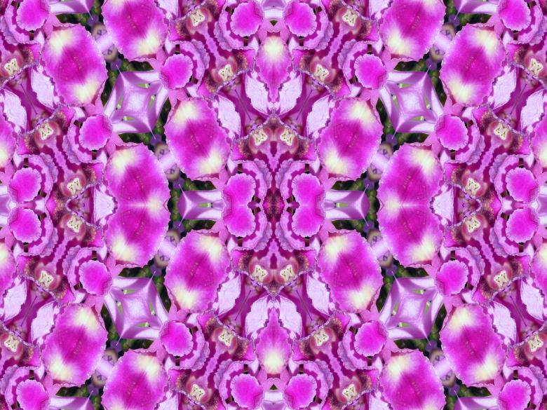 Free stock image of Floral Background created by Chas Mac