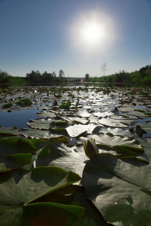 Free stock image of Riverscape created by 2happy