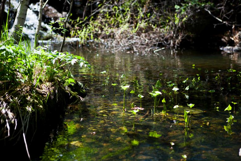 Free stock image of Sunbeams on water created by 2happy