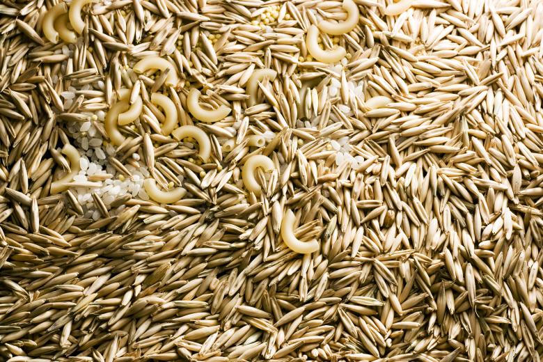 Free stock image of grain created by 2happy
