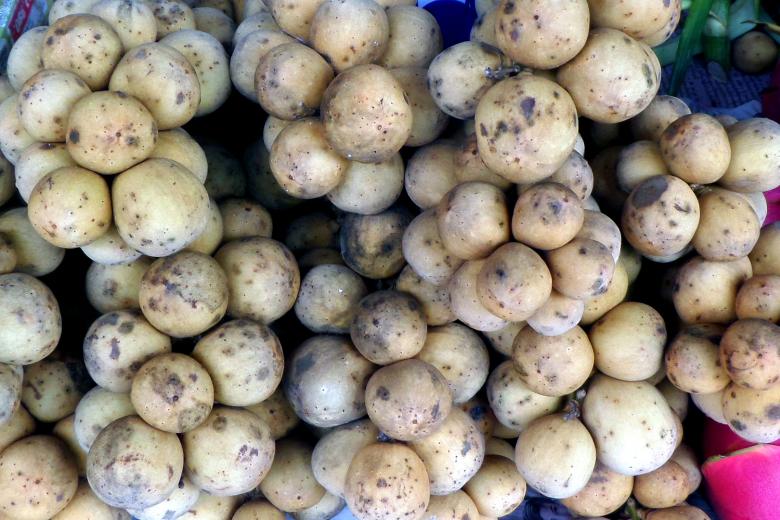 Free stock image of Longkong Fruit created by Chas Mac