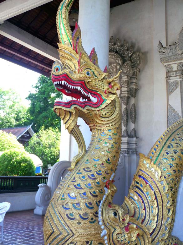 Free stock image of Naga  created by Chas Mac