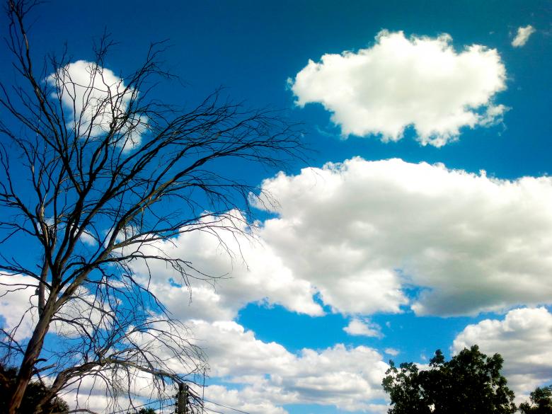 Free stock image of white clouds in a blue sky created by Mónica Patricia Núñez Chapa