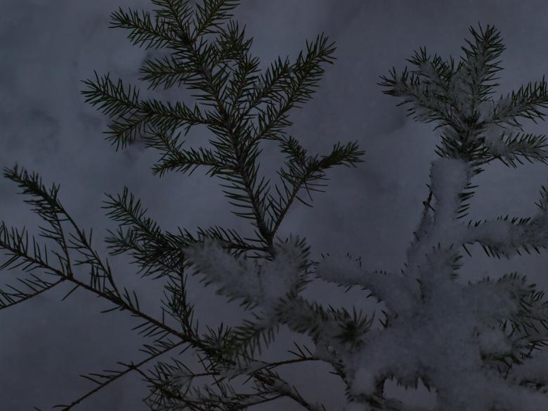 Free stock image of Winter created by Marko Mäkinen