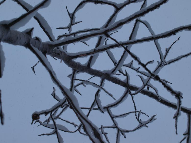 Free stock image of Winter created by Marko Mäkinen