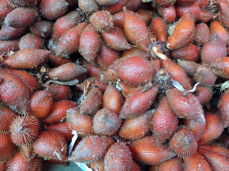 Free stock image of Salacca created by Chas Mac