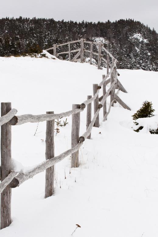 Free stock image of Winter Scene created by Geoffrey Whiteway
