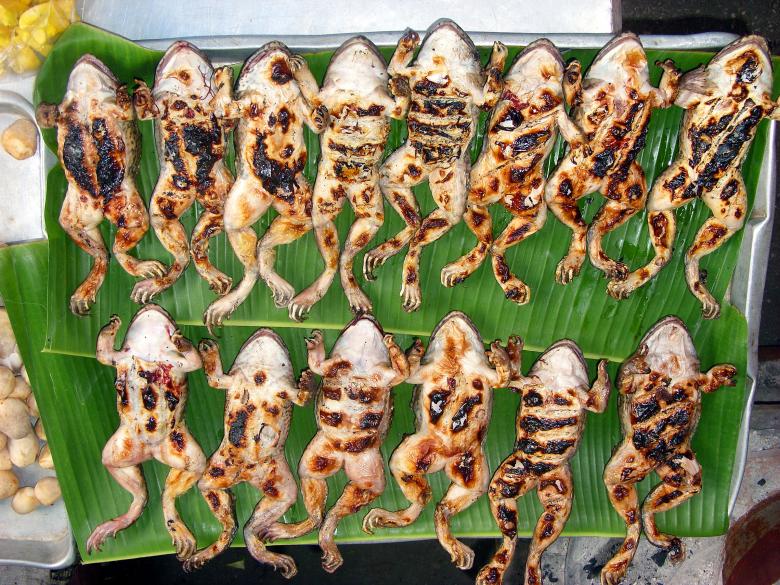 Free stock image of Cooked frogs created by Chas Mac
