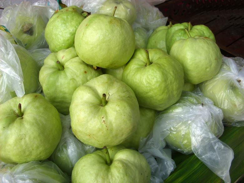 Free stock image of Guava fruit created by Chas Mac
