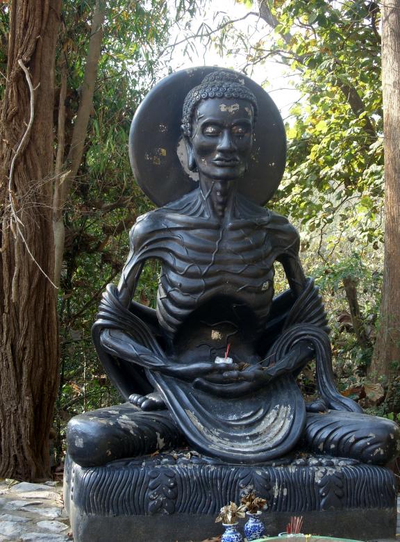 Free stock image of Emaciated Buddha created by Chas Mac