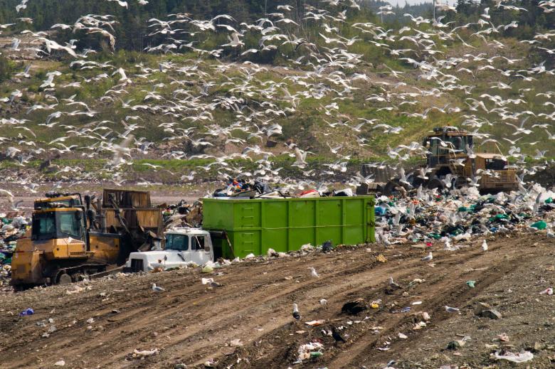 Free stock image of Landfill Equipment created by Geoffrey Whiteway
