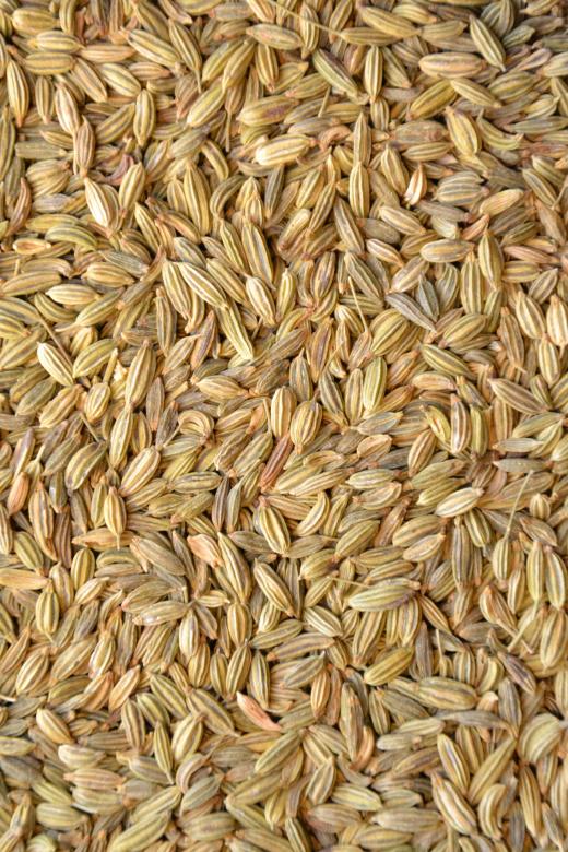 Free stock image of Fennel seeds created by Tomas Adomaitis