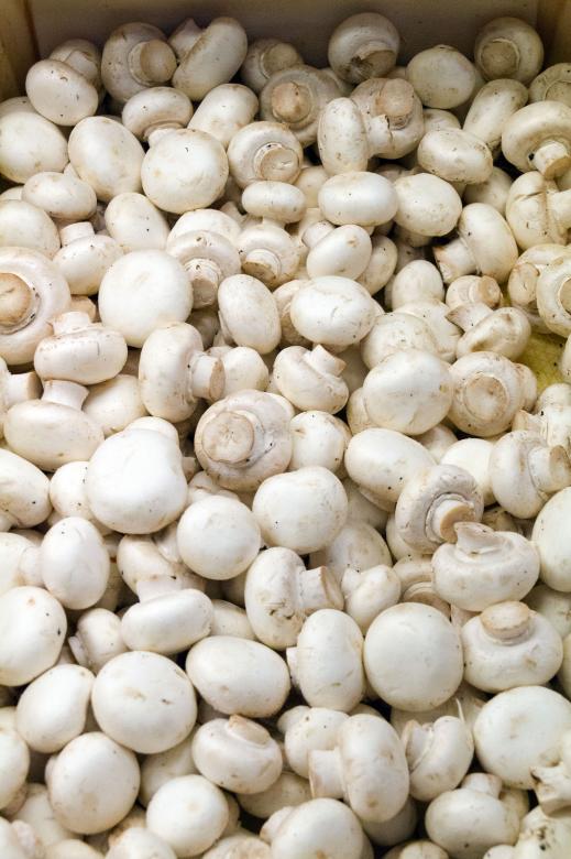 Free stock image of Button Mushrooms created by Geoffrey Whiteway