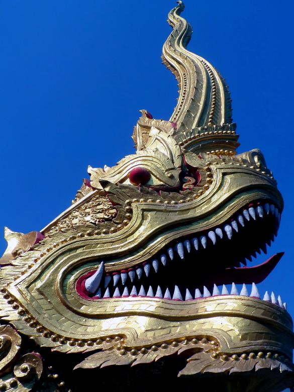 Free stock image of Naga head created by Chas Mac