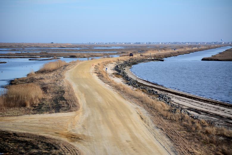 Free stock image of Dirtroad created by Vincent alvino