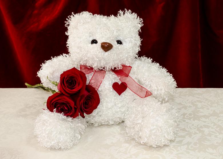 Free stock image of White teddy bear with red roses created by Mónica Patricia Núñez Chapa