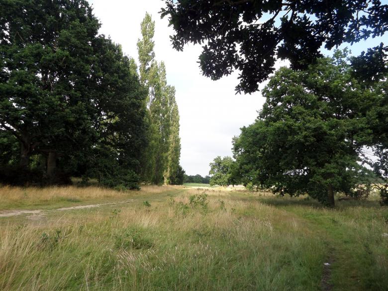 Free stock image of Bourne Park created by Chas Mac