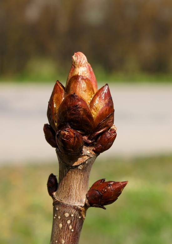 Free stock image of Spring time created by HappyEnd