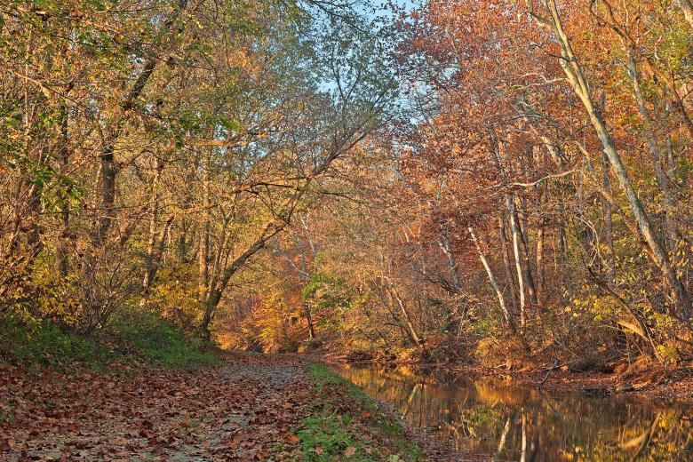 Free stock image of Autumn Pennyfield Canal - HDR created by Nicolas Raymond