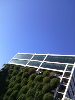 Building facade with hanging garden plants