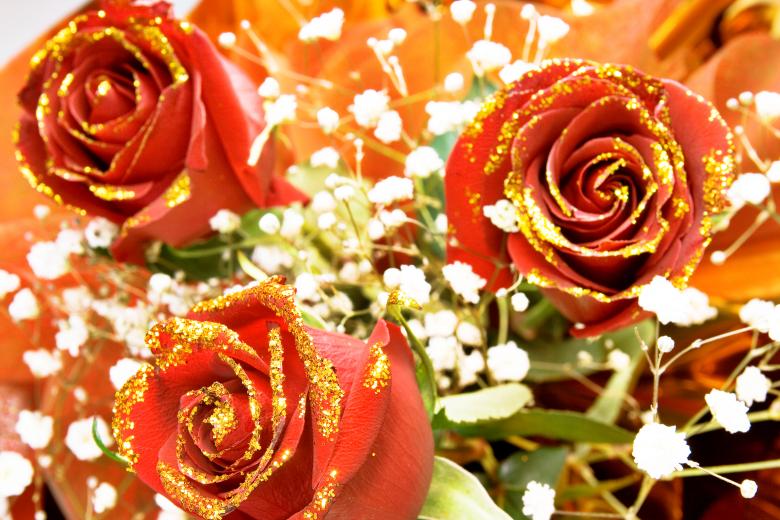Free stock image of Red Roses created by 2happy