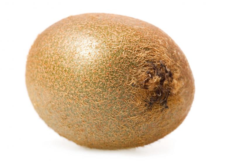 Free stock image of Kiwi created by 2happy