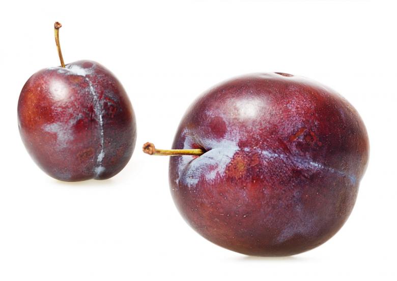 Free stock image of plums created by 2happy