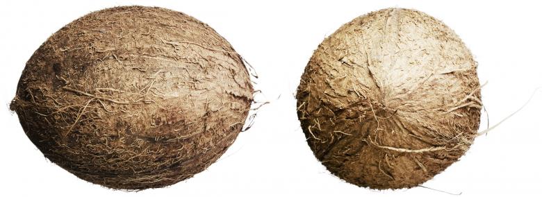 Free stock image of Coconuts created by 2happy
