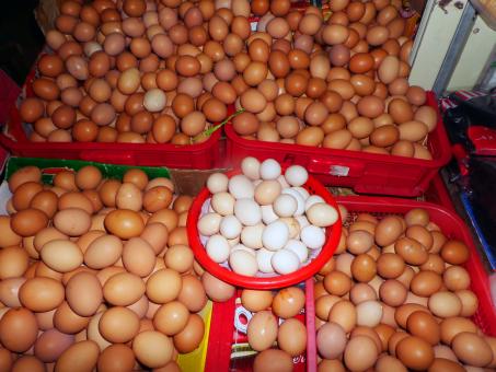 Eggs