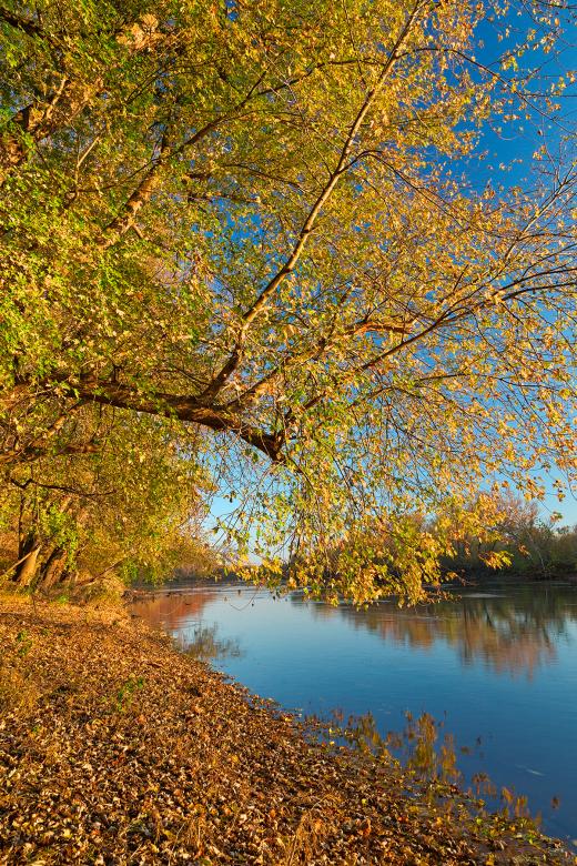 Free stock image of Golden Potomac Hour - HDR created by Nicolas Raymond